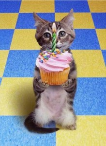 Imagine cat birthday
